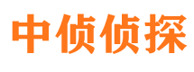 大新市侦探公司